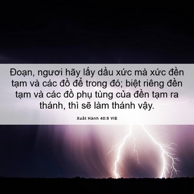 Picture 06 - Xuất Hành 40:9 VIE - Đoạn, ngươi hãy lấy dầu xức mà xức - Bible Verse Picture