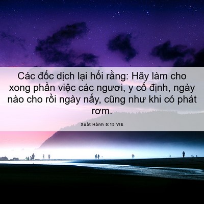 Picture 06 - Xuất Hành 5:13 VIE - Các đốc dịch lại hối rằng: Hãy làm - Bible Verse Picture