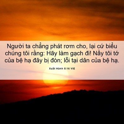 Picture 06 - Xuất Hành 5:16 VIE - Người ta chẳng phát rơm cho, lại cứ - Bible Verse Picture