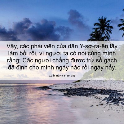 Picture 06 - Xuất Hành 5:19 VIE - Vậy, các phái viên của dân Y-sơ-ra-ên - Bible Verse Picture