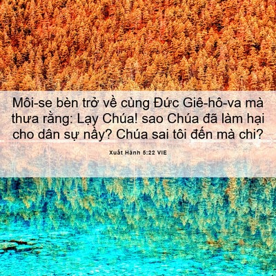 Picture 06 - Xuất Hành 5:22 VIE - Môi-se bèn trở về cùng Đức Giê-hô-va - Bible Verse Picture