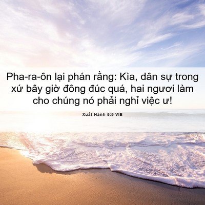 Picture 06 - Xuất Hành 5:5 VIE - Pha-ra-ôn lại phán rằng: Kìa, dân sự - Bible Verse Picture