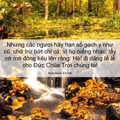 Picture 06 - Xuất Hành 5:8 VIE - Nhưng các ngươi hãy hạn số gạch y như - Bible Verse Picture