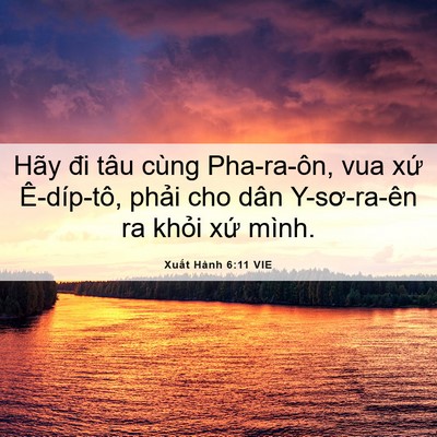 Picture 06 - Xuất Hành 6:11 VIE - Hãy đi tâu cùng Pha-ra-ôn, vua xứ - Bible Verse Picture