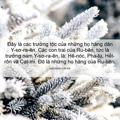 Picture 06 - Xuất Hành 6:14 VIE - Đây là các trưởng tộc của những họ - Bible Verse Picture