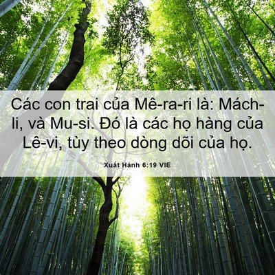 Picture 06 - Xuất Hành 6:19 VIE - Các con trai của Mê-ra-ri là: Mách-li, và - Bible Verse Picture