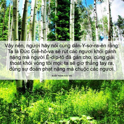 Picture 06 - Xuất Hành 6:6 VIE - Vậy nên, ngươi hãy nói cùng dân - Bible Verse Picture