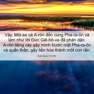 Picture 06 - Xuất Hành 7:10 VIE - Vậy, Môi-se và A-rôn đến cùng Pha-ra-ôn - Bible Verse Picture