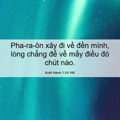Picture 06 - Xuất Hành 7:23 VIE - Pha-ra-ôn xây đi về đền mình, lòng - Bible Verse Picture