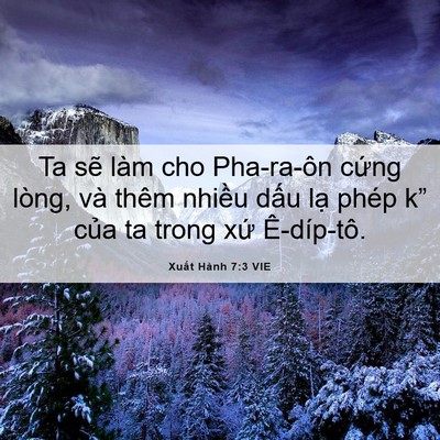 Picture 06 - Xuất Hành 7:3 VIE - Ta sẽ làm cho Pha-ra-ôn cứng lòng, và - Bible Verse Picture