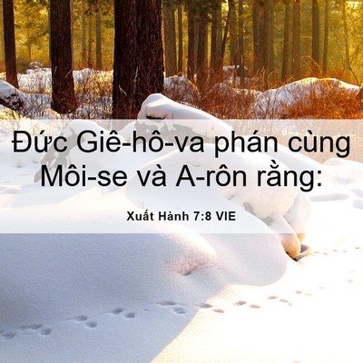 Picture 06 - Xuất Hành 7:8 VIE - Đức Giê-hô-va phán cùng Môi-se và A-rôn - Bible Verse Picture