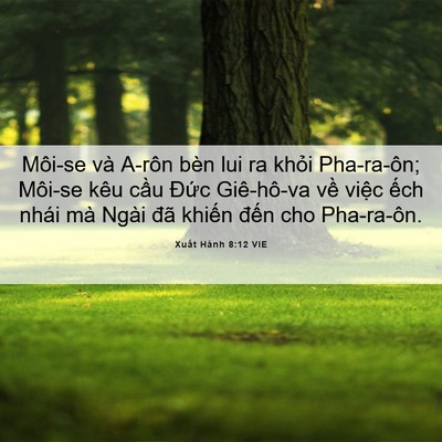 Picture 06 - Xuất Hành 8:12 VIE - Môi-se và A-rôn bèn lui ra khỏi Pha-ra-ôn; - Bible Verse Picture