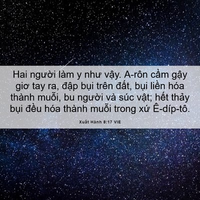 Picture 06 - Xuất Hành 8:17 VIE - Hai người làm y như vậy. A-rôn cầm - Bible Verse Picture