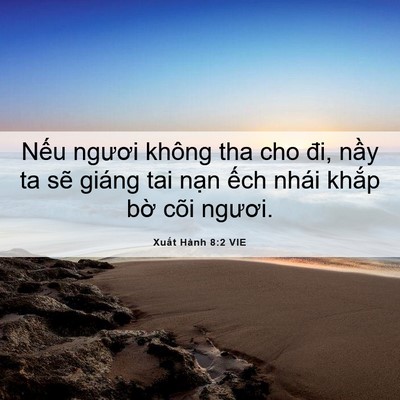 Picture 06 - Xuất Hành 8:2 VIE - Nếu ngươi không tha cho đi, nầy ta sẽ - Bible Verse Picture