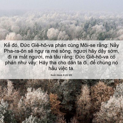 Picture 06 - Xuất Hành 8:20 VIE - Kế đó, Đức Giê-hô-va phán cùng Môi-se - Bible Verse Picture