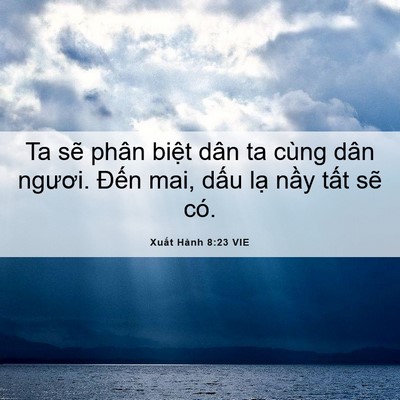 Picture 06 - Xuất Hành 8:23 VIE - Ta sẽ phân biệt dân ta cùng dân ngươi. - Bible Verse Picture