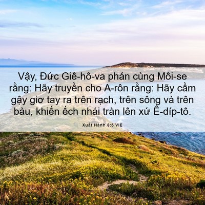 Picture 06 - Xuất Hành 8:5 VIE - Vậy, Đức Giê-hô-va phán cùng Môi-se - Bible Verse Picture