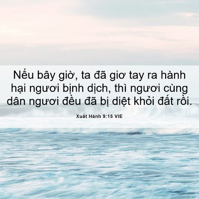 Picture 06 - Xuất Hành 9:15 VIE - Nếu bây giờ, ta đã giơ tay ra hành hại - Bible Verse Picture