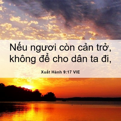 Picture 06 - Xuất Hành 9:17 VIE - Nếu ngươi còn cản trở, không để cho - Bible Verse Picture