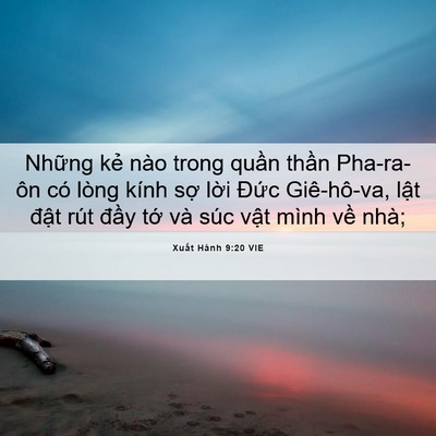 Picture 06 - Xuất Hành 9:20 VIE - Những kẻ nào trong quần thần Pha-ra-ôn - Bible Verse Picture