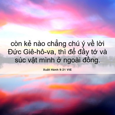 Picture 06 - Xuất Hành 9:21 VIE - còn kẻ nào chẳng chú ý về lời Đức - Bible Verse Picture