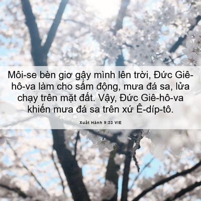 Picture 06 - Xuất Hành 9:23 VIE - Môi-se bèn giơ gậy mình lên trời, Đức - Bible Verse Picture