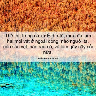 Picture 06 - Xuất Hành 9:25 VIE - Thế thì, trong cả xứ Ê-díp-tô, mưa - Bible Verse Picture