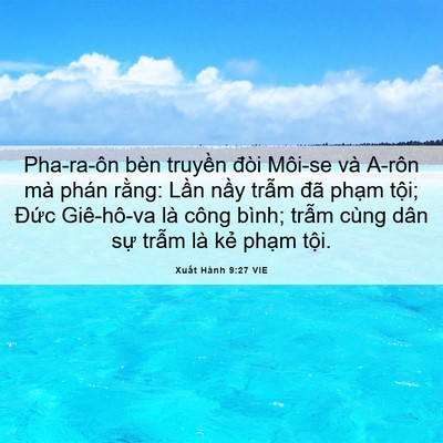 Picture 06 - Xuất Hành 9:27 VIE - Pha-ra-ôn bèn truyền đòi Môi-se và A-rôn - Bible Verse Picture