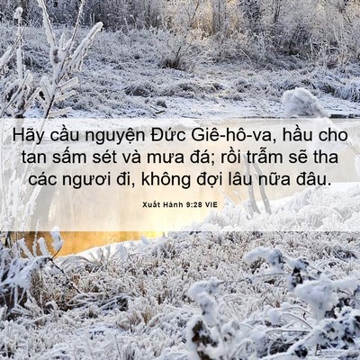 Picture 06 - Xuất Hành 9:28 VIE - Hãy cầu nguyện Đức Giê-hô-va, hầu cho - Bible Verse Picture