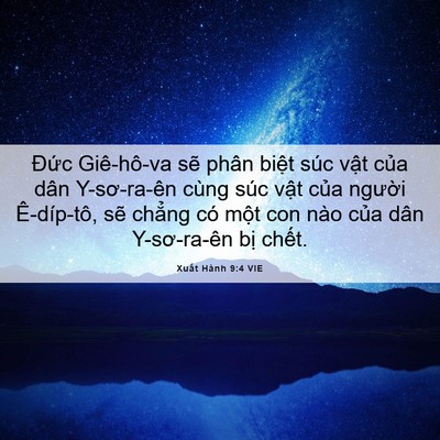 Picture 06 - Xuất Hành 9:4 VIE - Đức Giê-hô-va sẽ phân biệt súc vật - Bible Verse Picture