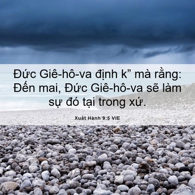 Picture 06 - Xuất Hành 9:5 VIE - Đức Giê-hô-va định k” mà rằng: - Bible Verse Picture
