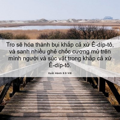 Picture 06 - Xuất Hành 9:9 VIE - Tro sẽ hóa thành bụi khắp cả xứ - Bible Verse Picture