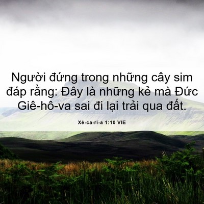 Picture 06 - Xê-ca-ri-a 1:10 VIE - Người đứng trong những cây sim đáp - Bible Verse Picture