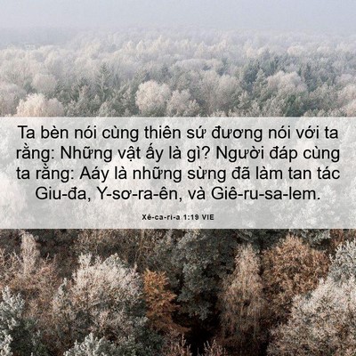 Picture 06 - Xê-ca-ri-a 1:19 VIE - Ta bèn nói cùng thiên sứ đương nói - Bible Verse Picture