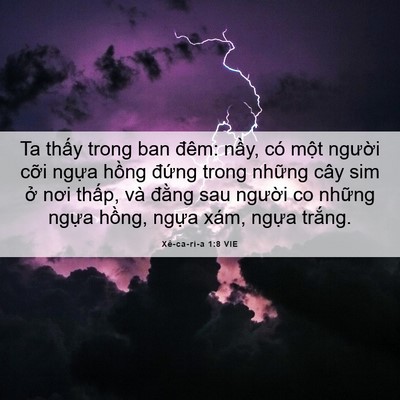 Picture 06 - Xê-ca-ri-a 1:8 VIE - Ta thấy trong ban đêm: nầy, có một - Bible Verse Picture