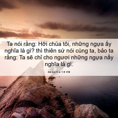 Picture 06 - Xê-ca-ri-a 1:9 VIE - Ta nói rằng: Hỡi chúa tôi, những ngựa - Bible Verse Picture