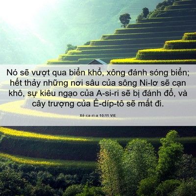 Picture 06 - Xê-ca-ri-a 10:11 VIE - Nó sẽ vượt qua biển khổ, xông đánh - Bible Verse Picture