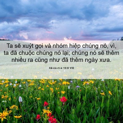 Picture 06 - Xê-ca-ri-a 10:8 VIE - Ta sẽ xuýt gọi và nhóm hiệp chúng nó, - Bible Verse Picture