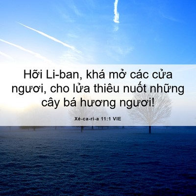 Picture 06 - Xê-ca-ri-a 11:1 VIE - Hỡi Li-ban, khá mở các cửa ngươi, cho - Bible Verse Picture