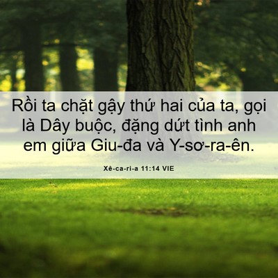 Picture 06 - Xê-ca-ri-a 11:14 VIE - Rồi ta chặt gậy thứ hai của ta, gọi - Bible Verse Picture