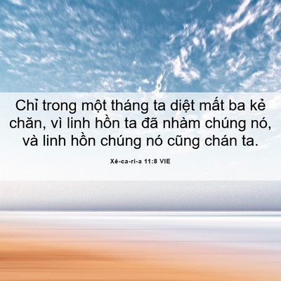 Picture 06 - Xê-ca-ri-a 11:8 VIE - Chỉ trong một tháng ta diệt mất ba kẻ - Bible Verse Picture