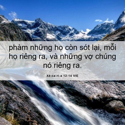 Picture 06 - Xê-ca-ri-a 12:14 VIE - phàm những họ còn sót lại, mỗi họ - Bible Verse Picture
