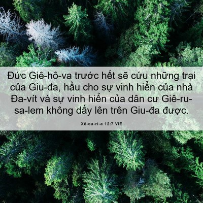 Picture 06 - Xê-ca-ri-a 12:7 VIE - Đức Giê-hô-va trước hết sẽ cứu - Bible Verse Picture