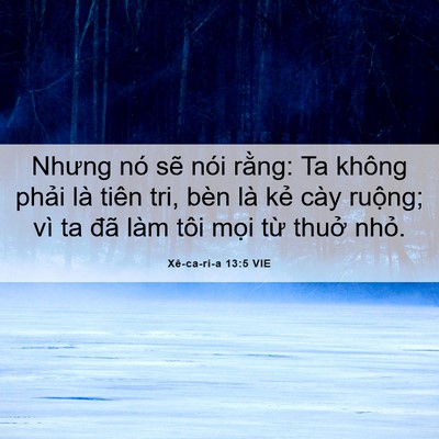 Picture 06 - Xê-ca-ri-a 13:5 VIE - Nhưng nó sẽ nói rằng: Ta không phải là - Bible Verse Picture