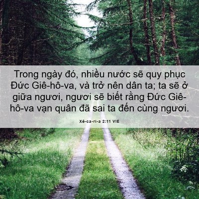Picture 06 - Xê-ca-ri-a 2:11 VIE - Trong ngày đó, nhiều nước sẽ quy phục - Bible Verse Picture