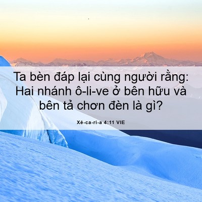 Picture 06 - Xê-ca-ri-a 4:11 VIE - Ta bèn đáp lại cùng người rằng: Hai - Bible Verse Picture