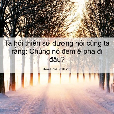 Picture 06 - Xê-ca-ri-a 5:10 VIE - Ta hỏi thiên sứ đương nói cùng ta - Bible Verse Picture