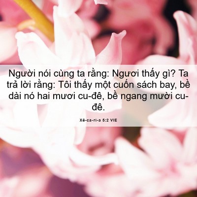 Picture 06 - Xê-ca-ri-a 5:2 VIE - Người nói cùng ta rằng: Ngươi thấy - Bible Verse Picture