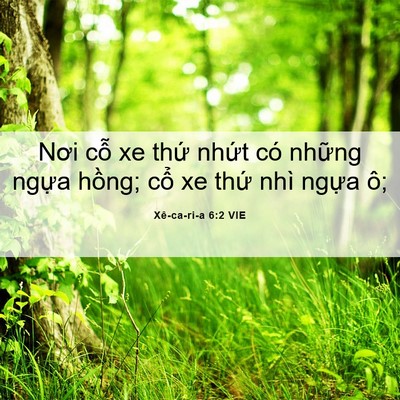 Picture 06 - Xê-ca-ri-a 6:2 VIE - Nơi cỗ xe thứ nhứt có những ngựa - Bible Verse Picture