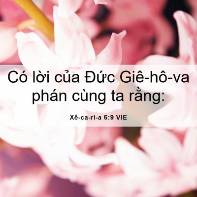 Picture 06 - Xê-ca-ri-a 6:9 VIE - Có lời của Đức Giê-hô-va phán cùng ta - Bible Verse Picture